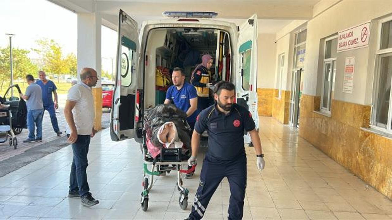 Sivas'ta ayı dehşeti! Yaralı &ccedil;oban helikopterle hastaneye kaldırıldı 