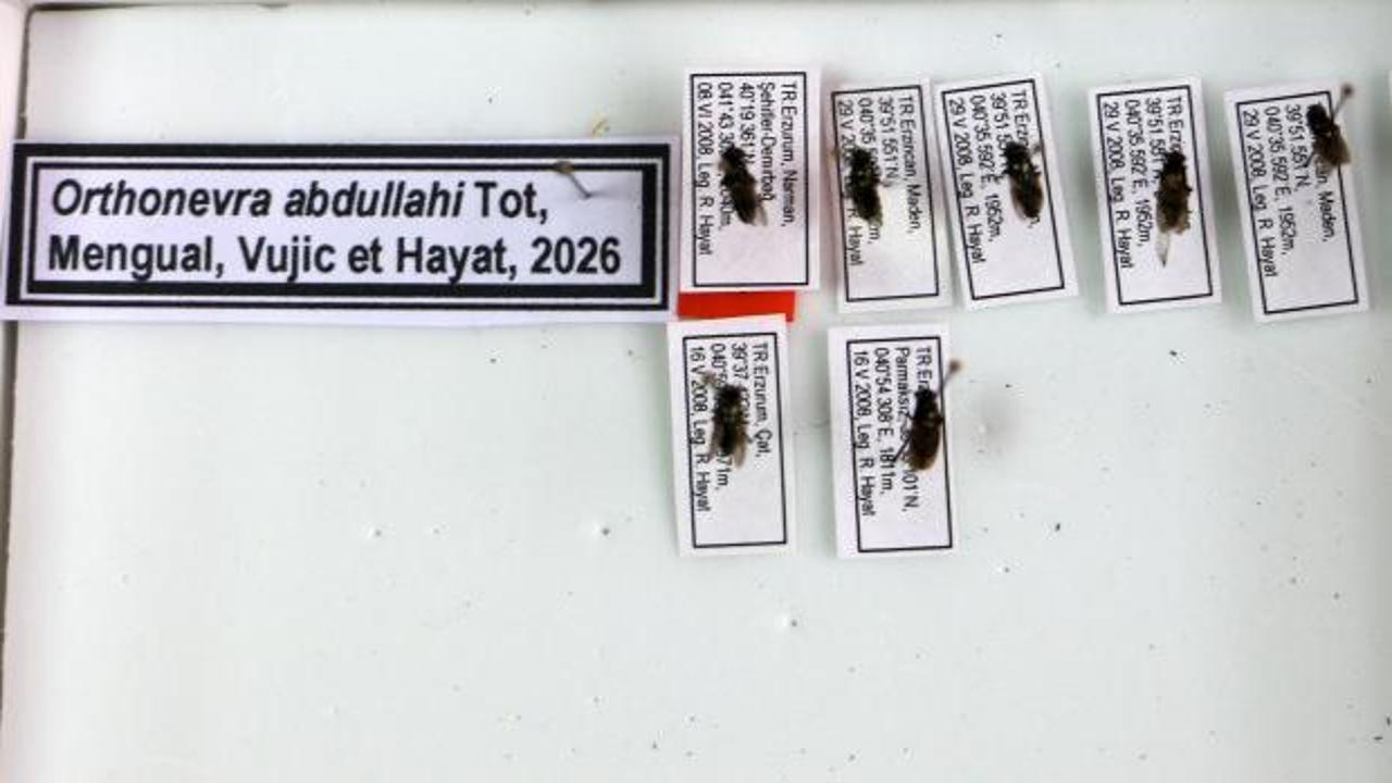Erzurum&rsquo;da yeni bir t&uuml;r keşfedildi: Profes&ouml;r &ouml;len oğlunun adını verdi