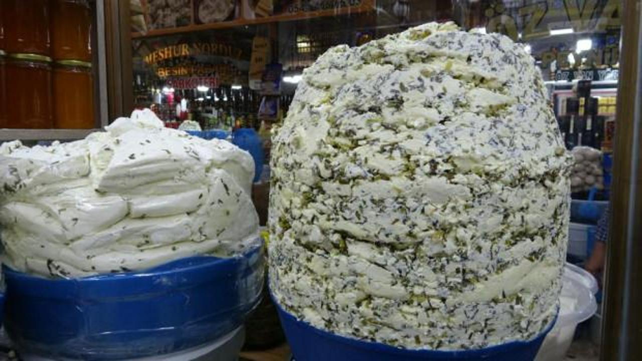 Meşhur otlu k&uuml;p peyniri tezg&acirc;hlarda! Kilosu 800 TL