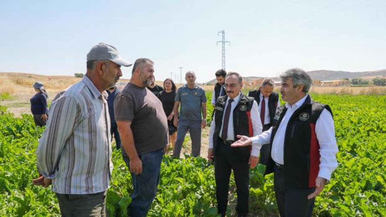 T&Uuml;RKŞEKER yeni &uuml;retim hedefini a&ccedil;ıkladı: 14 fabrika 85 milyonun malıdır