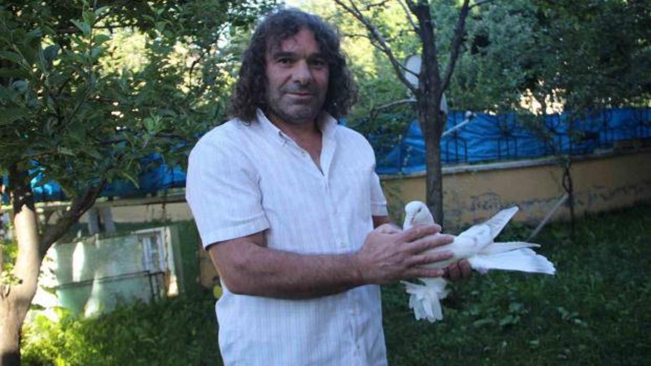 Uzun yol şof&ouml;r&uuml;n&uuml;n sıra dışı g&uuml;vercin tutkusu: Değeri dudak u&ccedil;uklattı