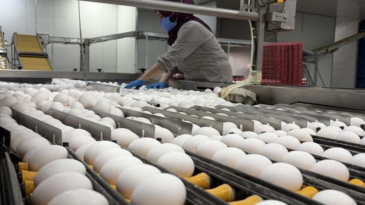 Yumurta fiyatları i&ccedil;in dikkat &ccedil;eken a&ccedil;ıklama! Arz fazlası zam beklentisini rafa kaldırdı