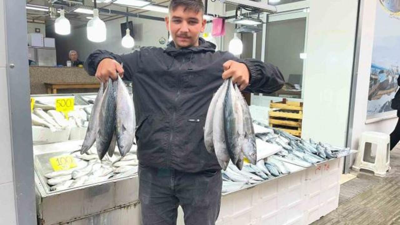 Sinop'ta palamut bereketi! Tezgahlarda fiyatı 50 liraya kadar geriledi