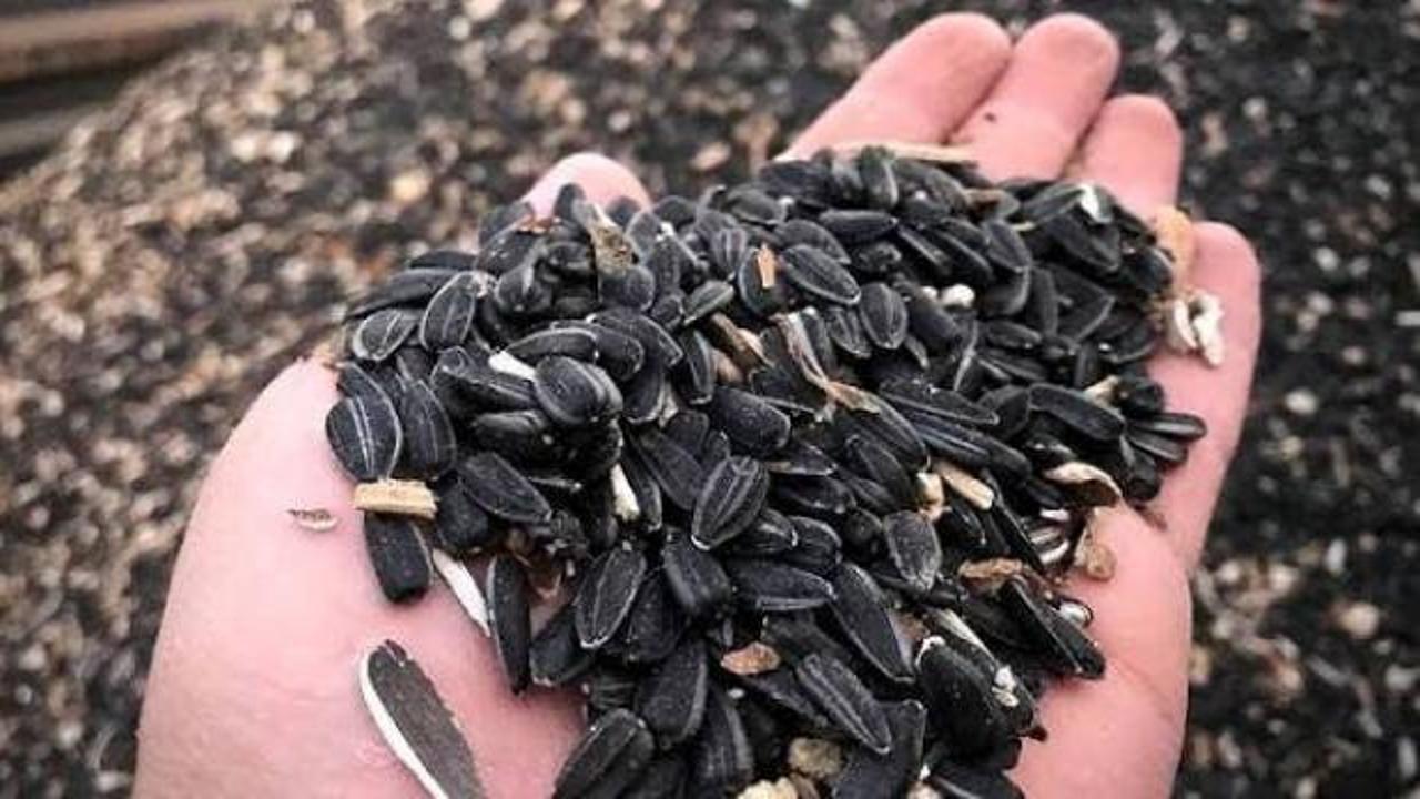 Yağlık ay&ccedil;i&ccedil;eğinde &ouml;n alım fiyatı a&ccedil;ıklandı!