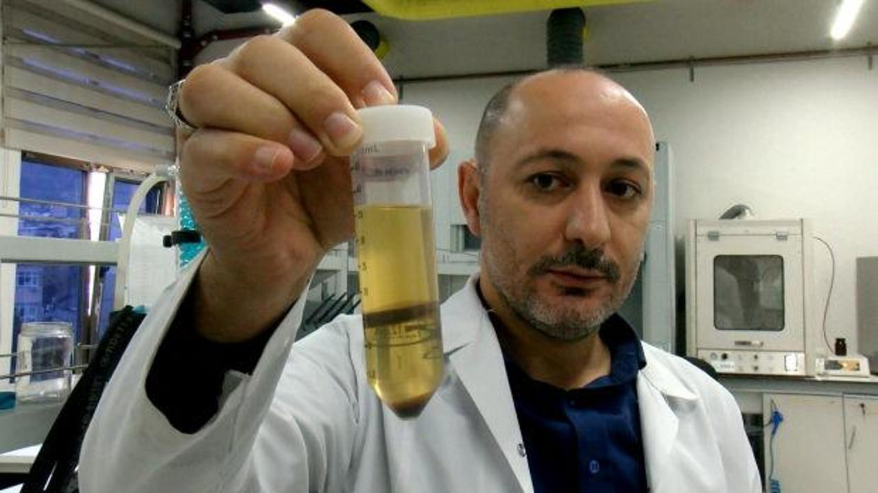 Yem olarak kullanılıyordu değeri katlandı: Y&uuml;zde 80 protein i&ccedil;eren toza d&ouml;n&uuml;ş&uuml;yor