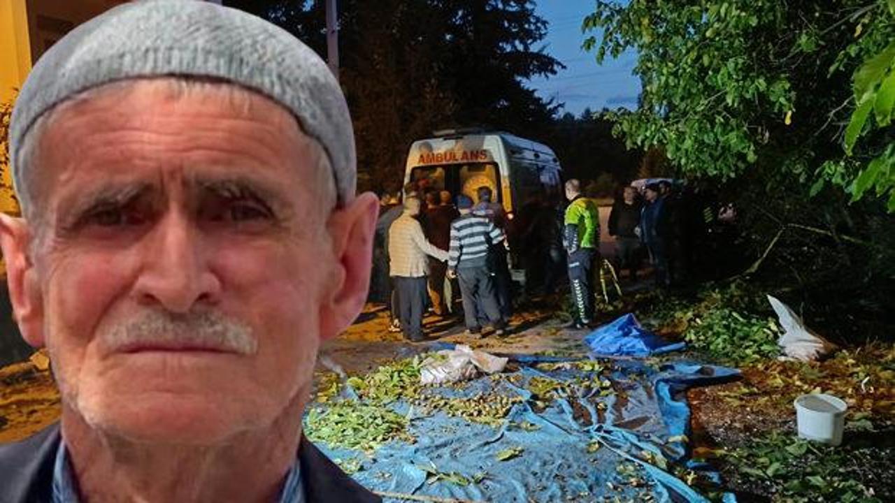 78 yaşındaki adam ceviz ağacından d&uuml;ş&uuml;p &ouml;ld&uuml;