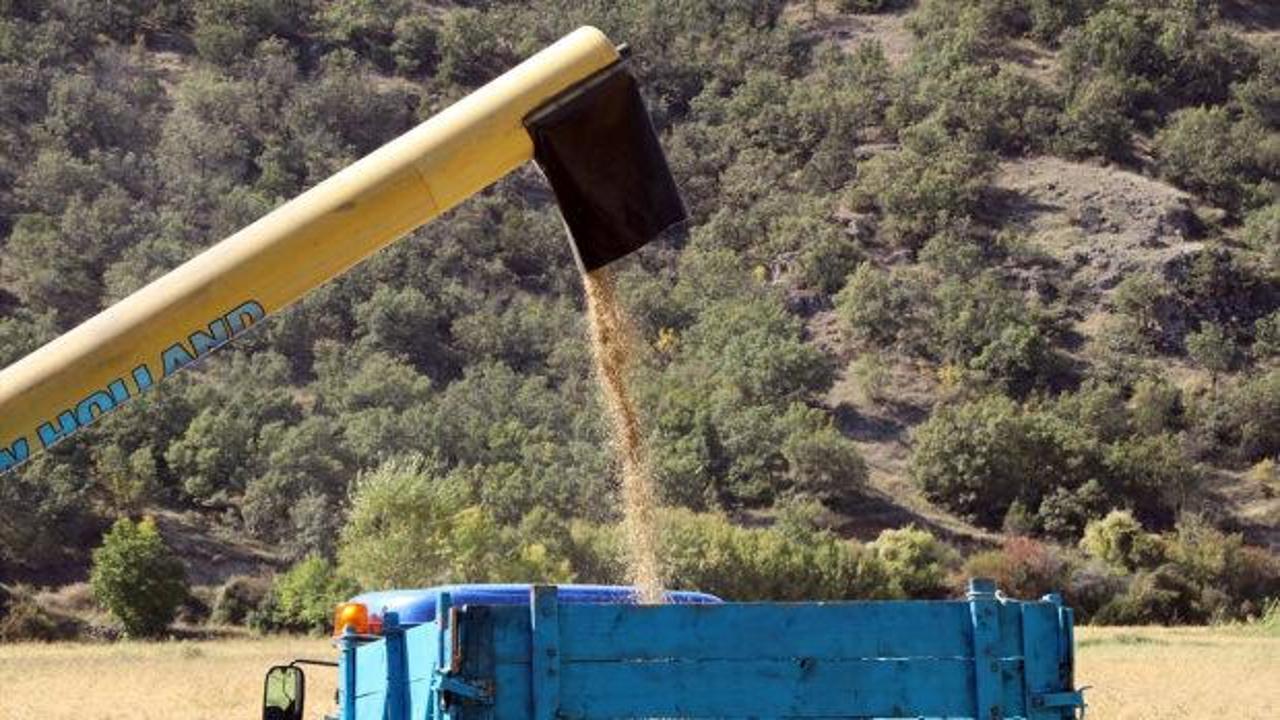 Bu pirin&ccedil; &ccedil;ok başka! Şeker hastaları rahatlıkla t&uuml;ketebiliyor!