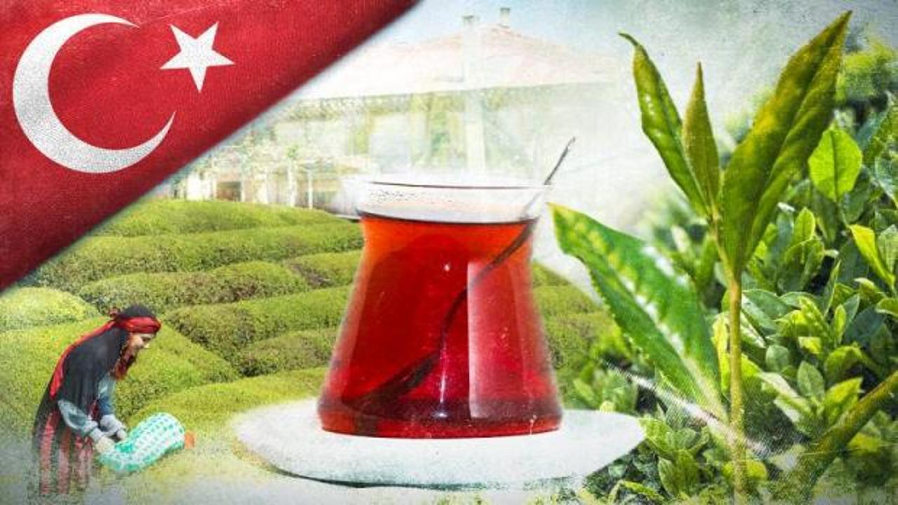 İhracatın y&uuml;zde 37'sini tek başına sırtladı: D&uuml;nyanın &ccedil;ayını Rize demliyor