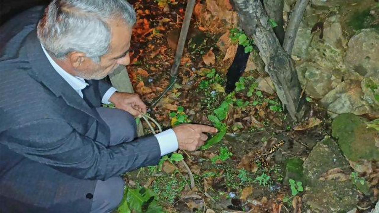 Evinin bah&ccedil;esinde karşılaştı, ne olduğunu anlayamadı! Peş peşe 3 kez g&ouml;r&uuml;ld&uuml;