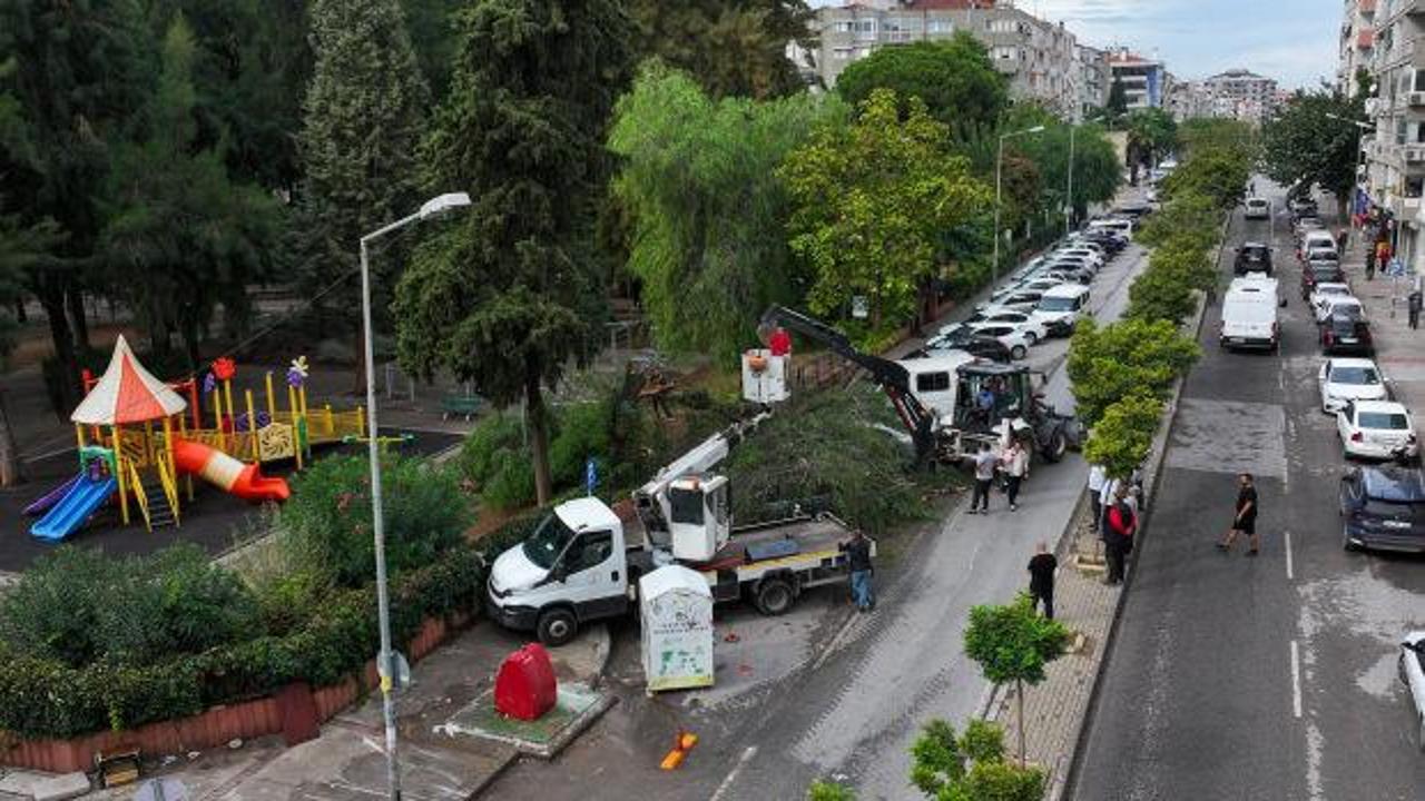İzmir'de korkutan anlar: 4 otomobilin &uuml;zerine ağa&ccedil; d&uuml;şt&uuml;!