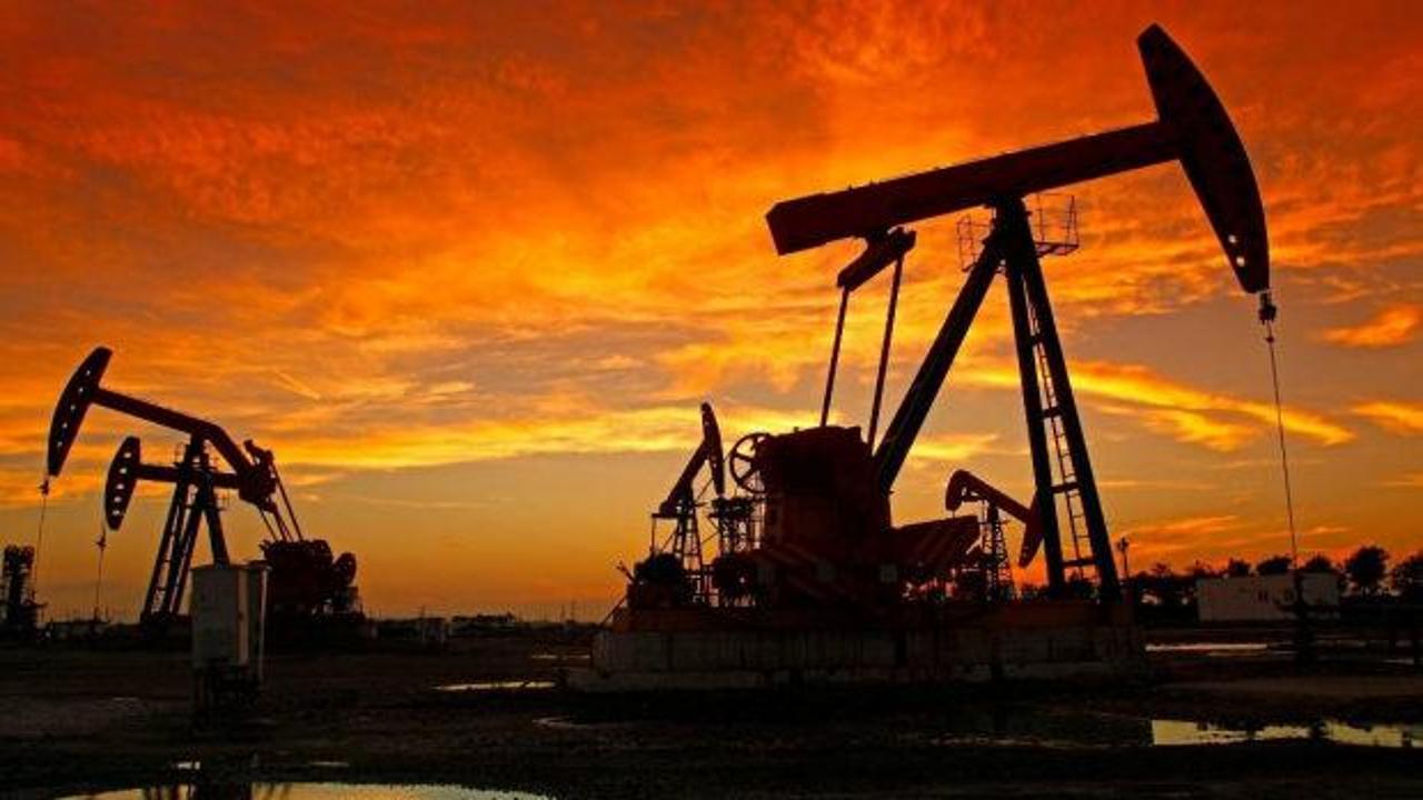 K&uuml;ba'dan tarihi petrol kararı