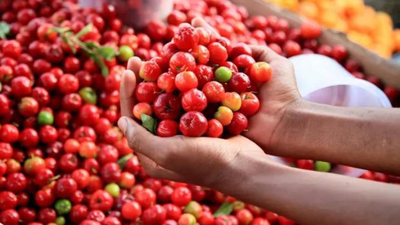Limonu ezdi ge&ccedil;ti, 60 kat daha vitaminli! Ona 'yeşil altın' deniyor