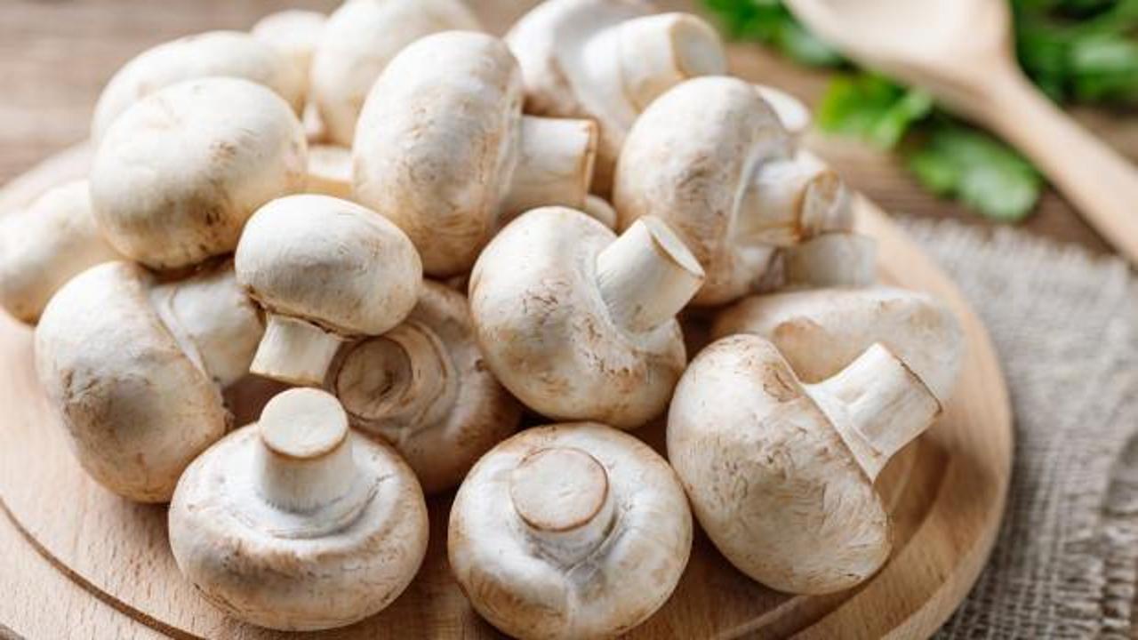 Mantar yıkanır mı, soyulur mu? Mantar temizlerken dikkat edilmesi gerekenler