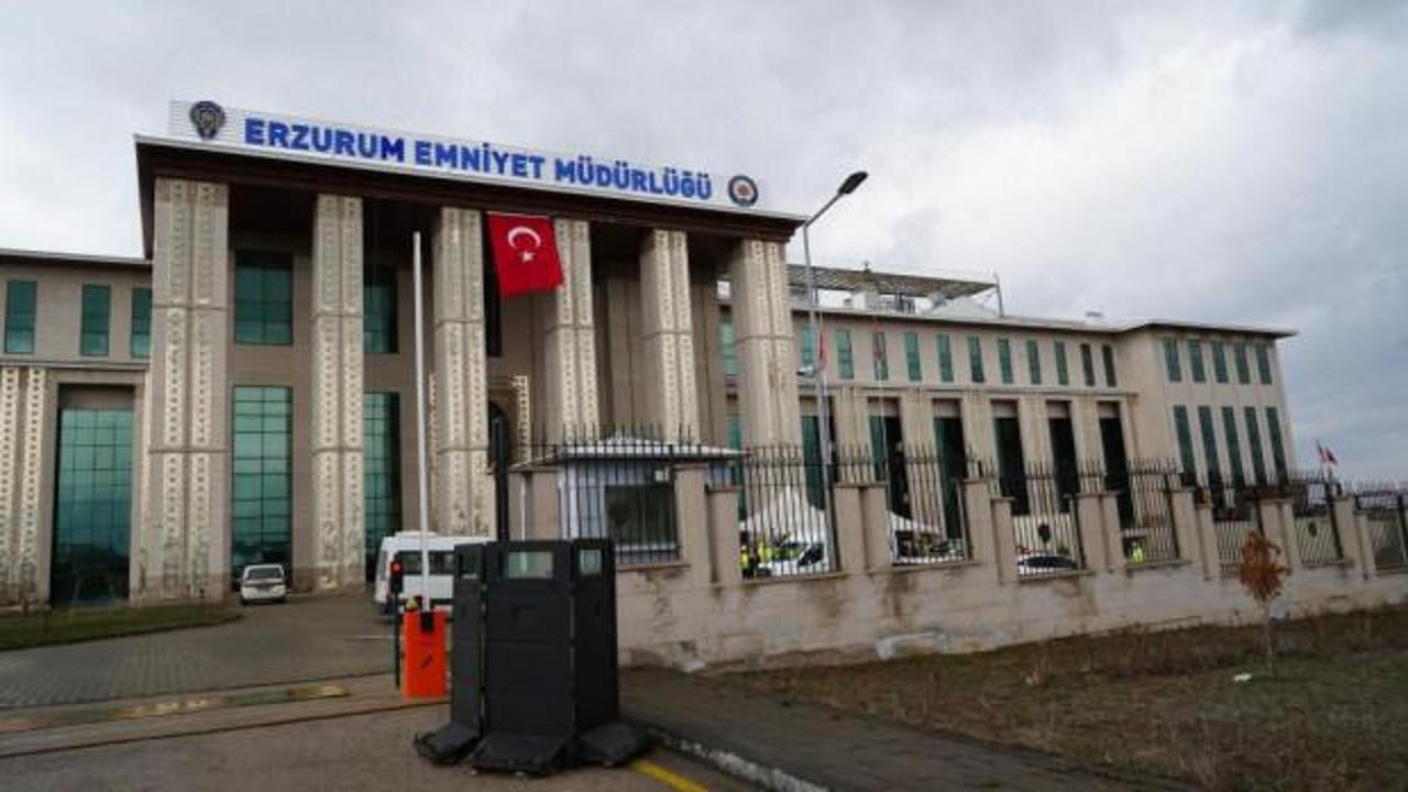 Sokak hayvanları talimatıyla ilgili inceleme başlatıldı