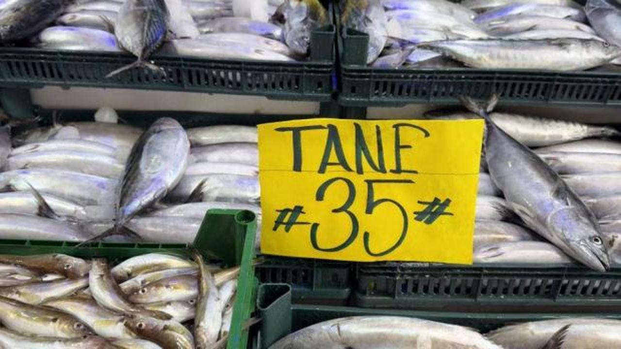 Strafor k&ouml;p&uuml;k kasasının fiyatı palamuttan 3 kat pahalı