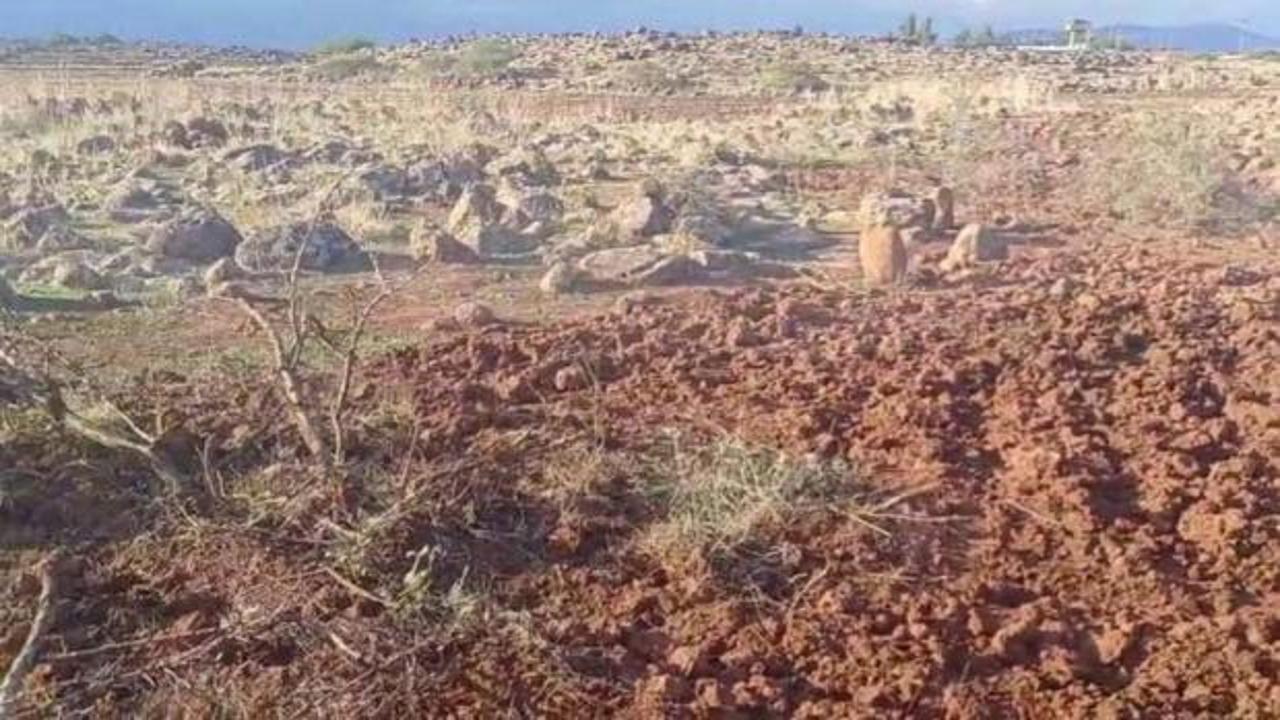 Koruma altındaki b&ouml;lgede izinsiz ara&ccedil; kullandı: Cezası ağır oldu