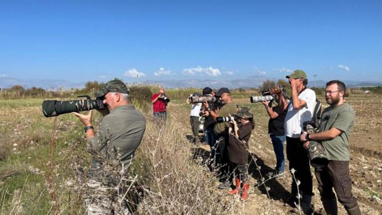 İlk kez Antalya'da g&ouml;r&uuml;nt&uuml;lendi: Fotoğrafını &ccedil;ekmek isteyenler b&ouml;lgeye akın ediyor