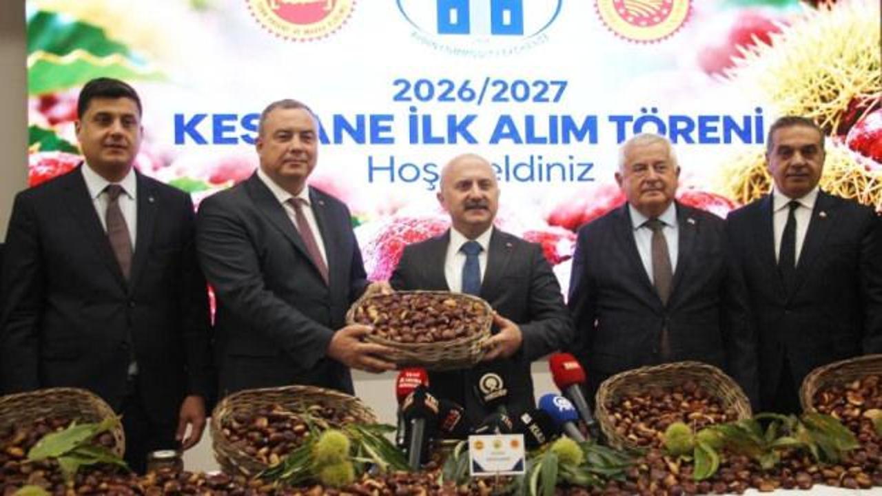 Aydın kestanesinde sezonun ilk &uuml;r&uuml;n&uuml; 600 TL'den alındı