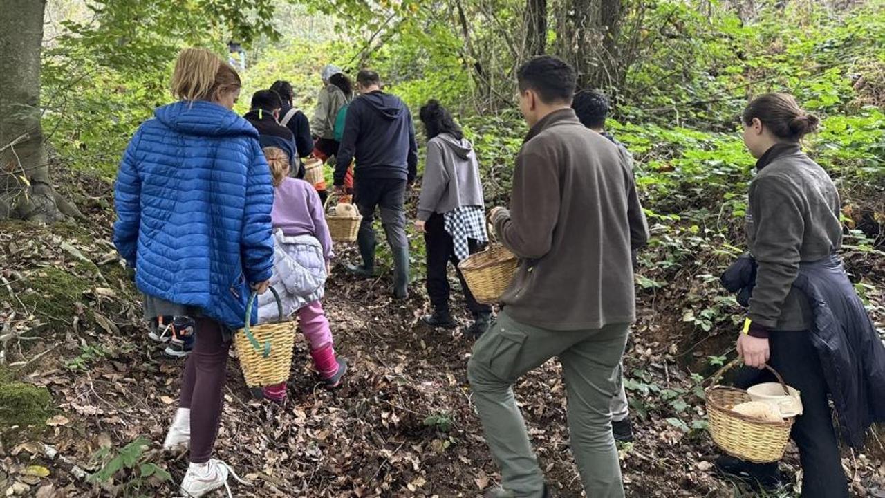 Belgrad Ormanı’nın derinliklerine akın başladı: Önce sepetler, sonra karınlar doluyor