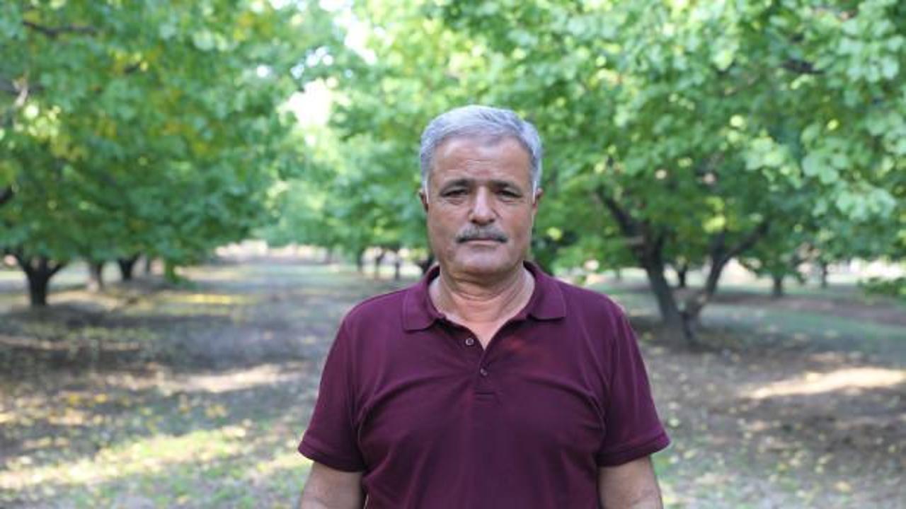 Ne emekli maaşı ne ek iş! Toprağa yatırım yaparak kendi servetini b&ouml;yle kazandı
