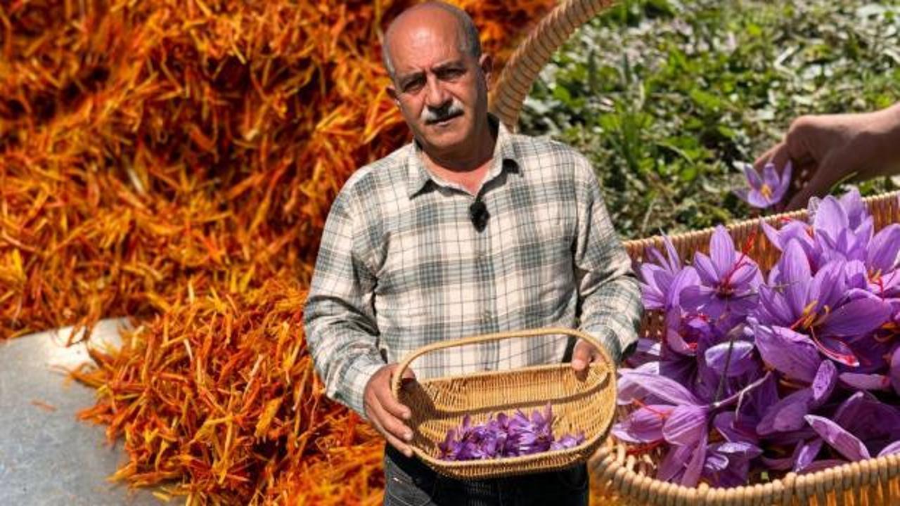 Esnaflığı bıraktı, tarlaya y&ouml;neldi! Kilosu 1 milyon liraya yaklaşan &uuml;r&uuml;n&uuml; yetiştiriyor