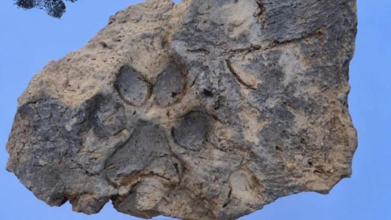 H&ouml;y&uuml;k'te 4 bin yıllık pati izi bulundu