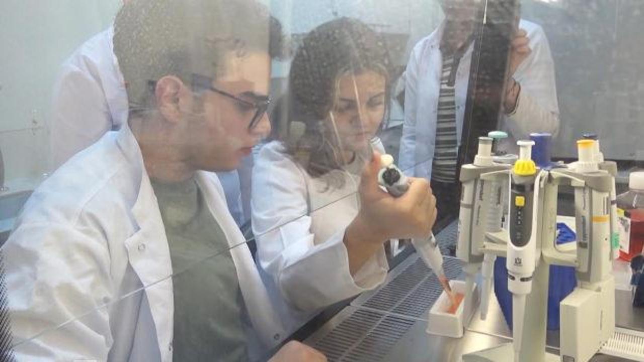 Tarantula zehrinden geliştirerek hastalara umut oldular: Hedef Uluslararası ISEF Yarışması