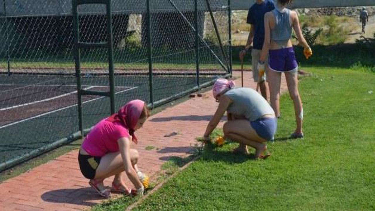 Avrupalı gençler Çine parklarında gönüllü işçi oldu