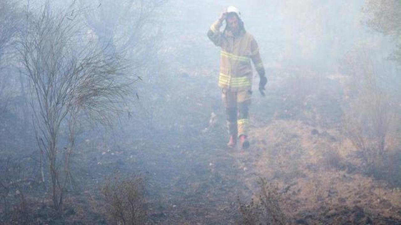 İzmir'de orman yangınları