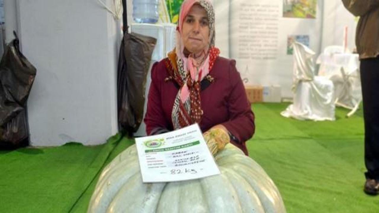 Kadın çiftçi 82 kilogramlık bal kabağı yetiştirdi