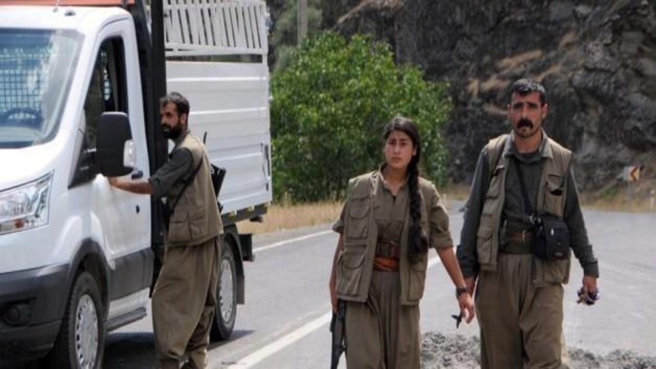 PKK Tunceli ve Erzincan'da yol kesti