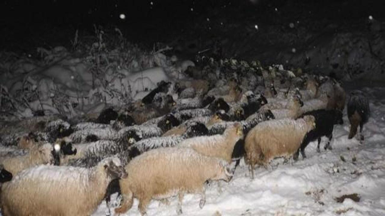 7 çoban ve ailesi kurtarılmayı bekliyor 