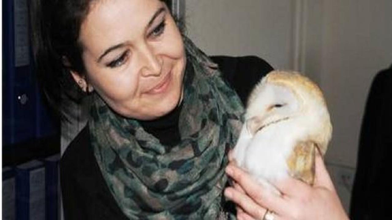 Cizre'de 'İsa Kuşu' türü baykuş bulundu