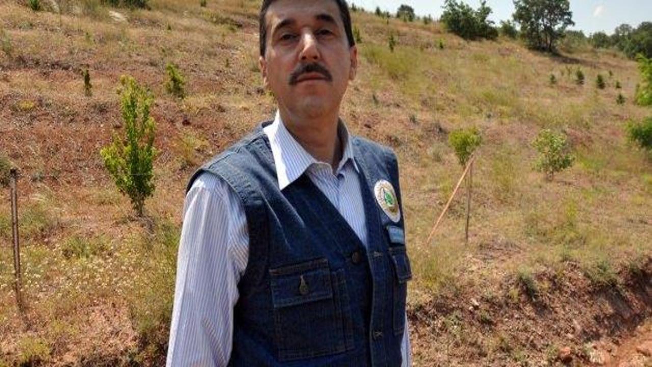 Türkiye'nin yarısına fidan üretiyorlar
