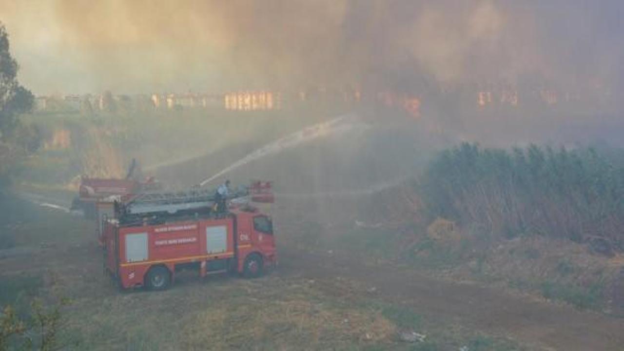 Balıkesir'de sazlık yangını