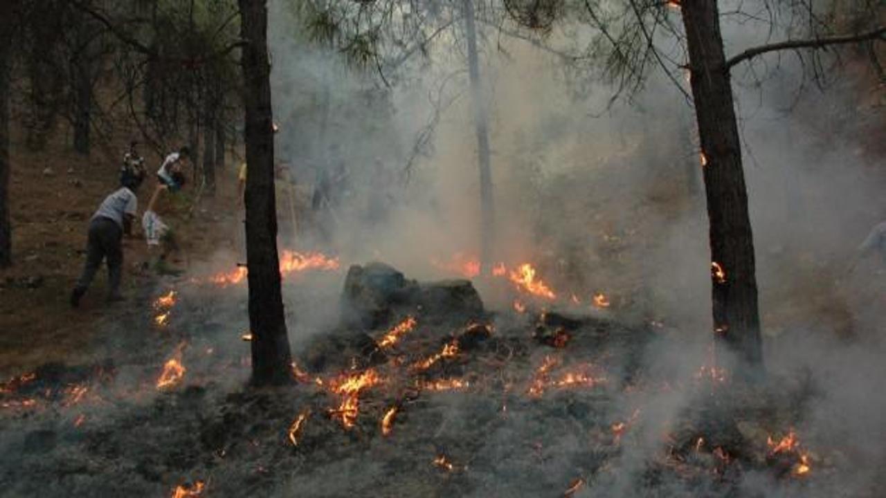 Adıyaman'da orman yangını büyüyor
