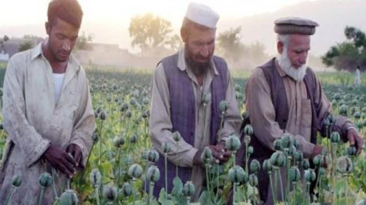 Afganistan uyuşturucuda kendi rekorunu kırdı