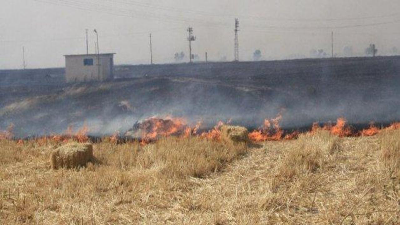 Afyon'daki anız yangını korkuttu