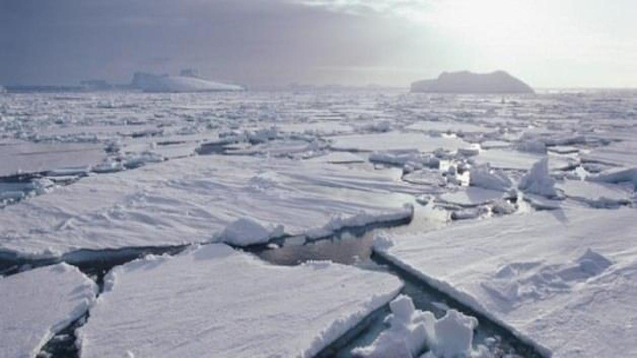 Antartika için felaket senaryosu