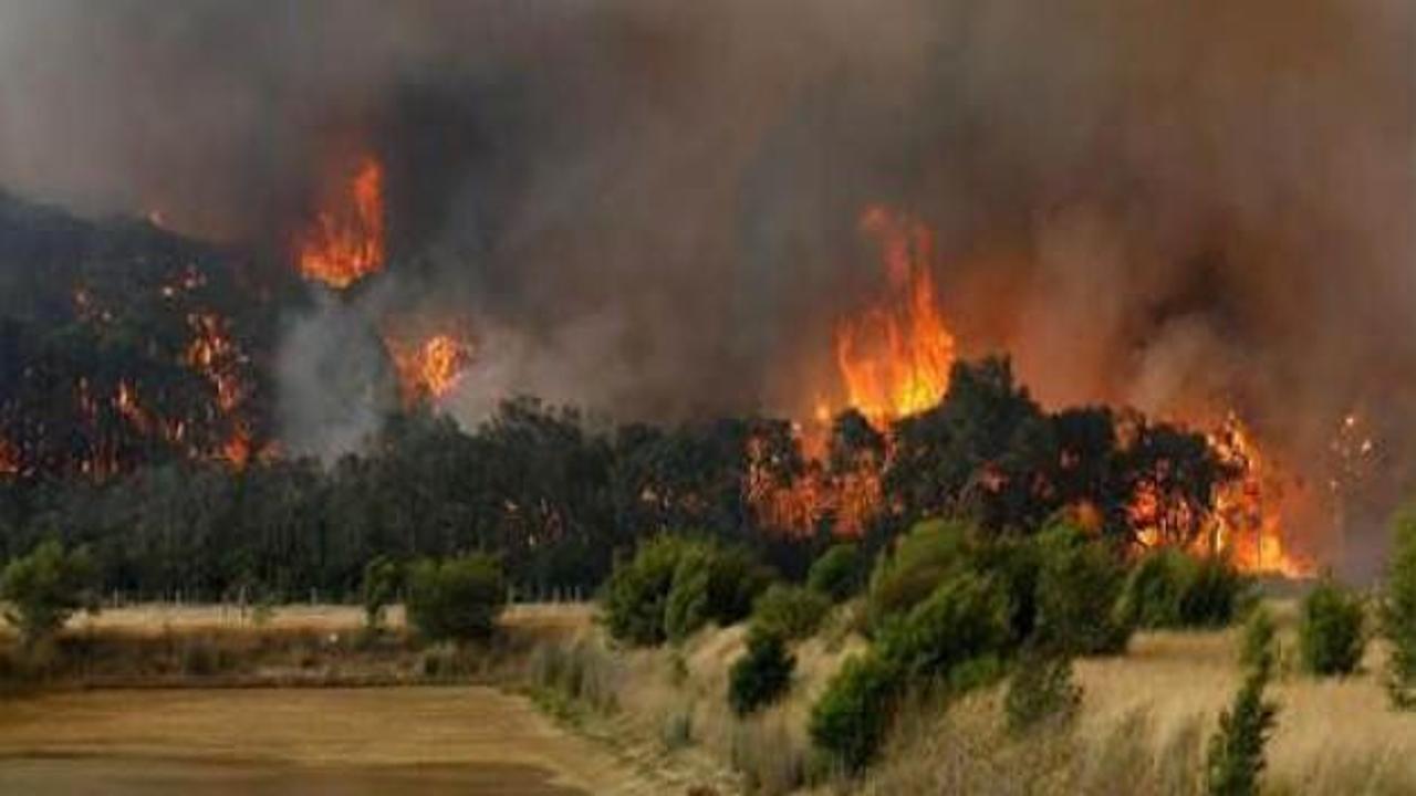 Avustralya’da son 30 yılın en büyük yangını çıktı