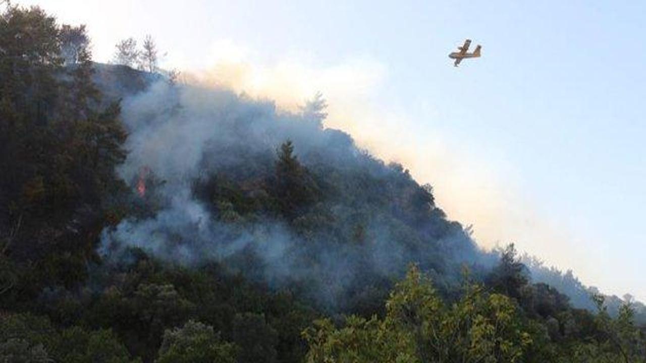 Aydın'da 4 hektar orman alanı yandı