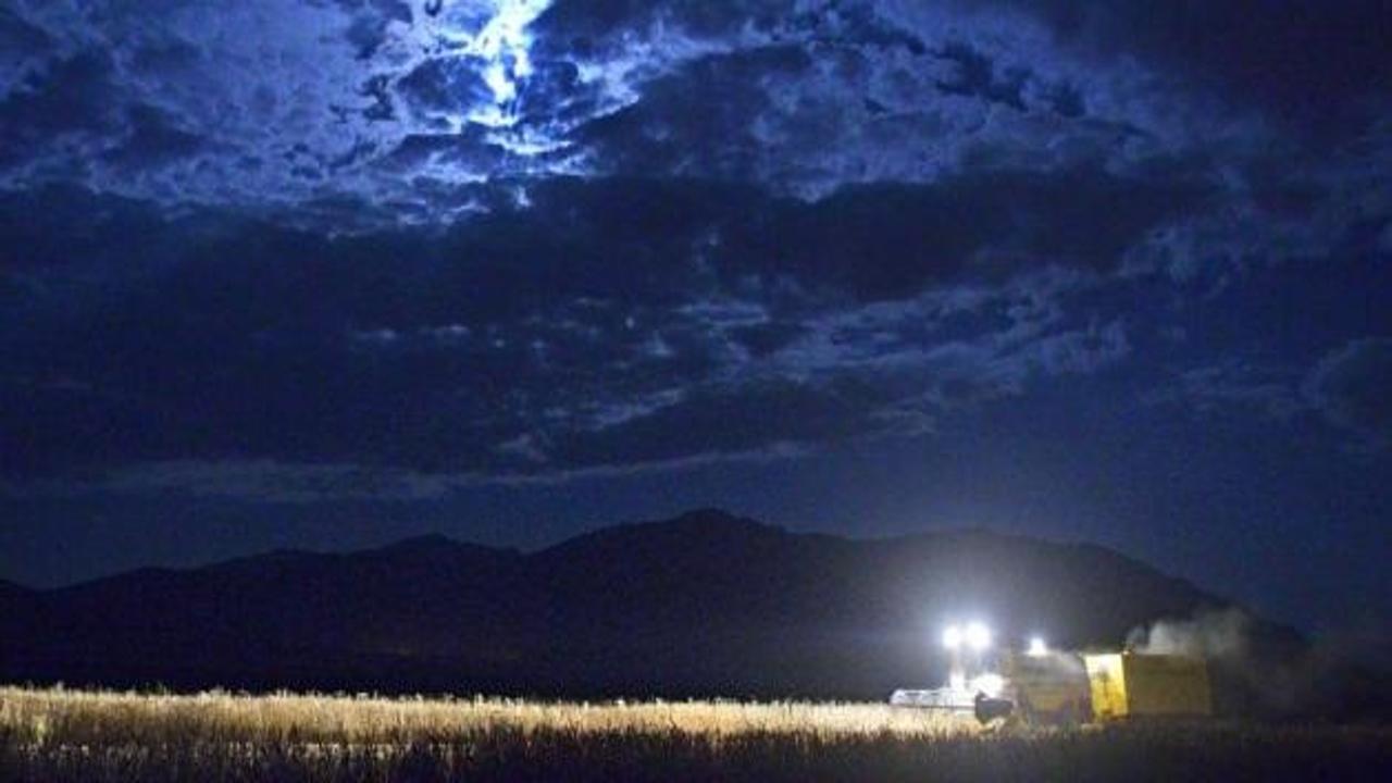 Sıcakta gece hasadı