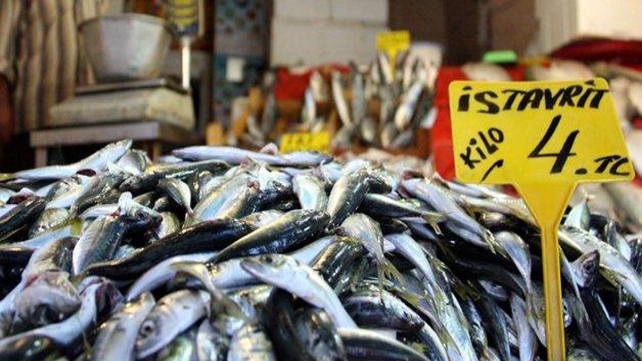 Balık sezonu başladı: İşte tezgahtan ilk fiyatlar