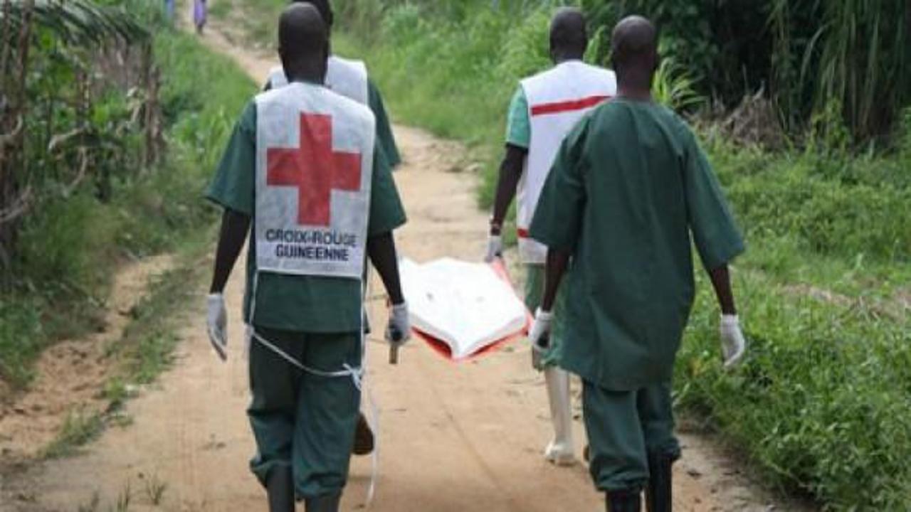 Batı Afrika'da Ebola virüsü kabusu