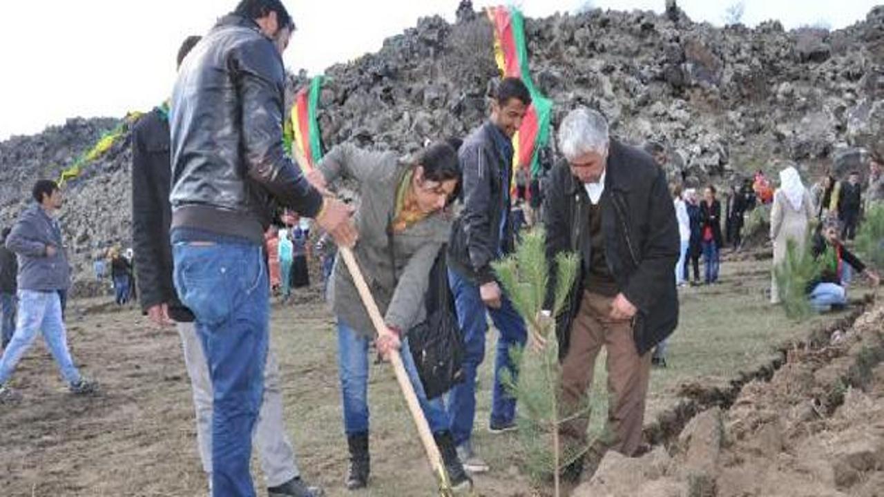 BDP Öcalan için ağaç dikti