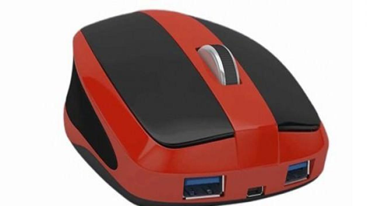 Bilgisayarını içinde taşıyan mouse