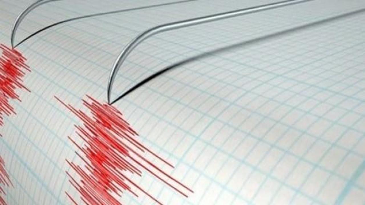 Bingöl'de gece yarısı şiddetli deprem