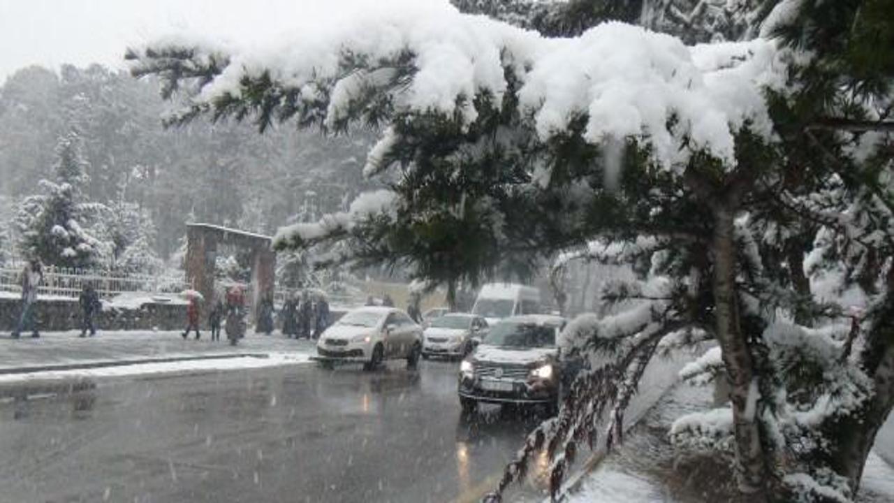 Bitlis kar yağışının etkisinde