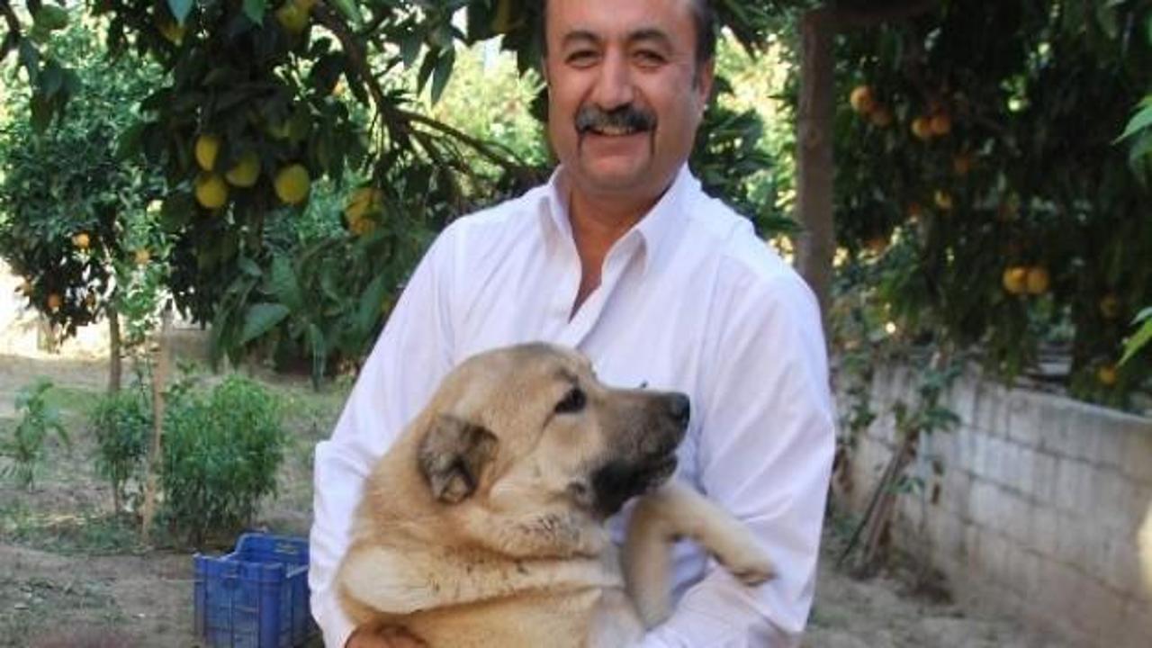 Bu köpeğin ismi İsrail'i kızdıracak