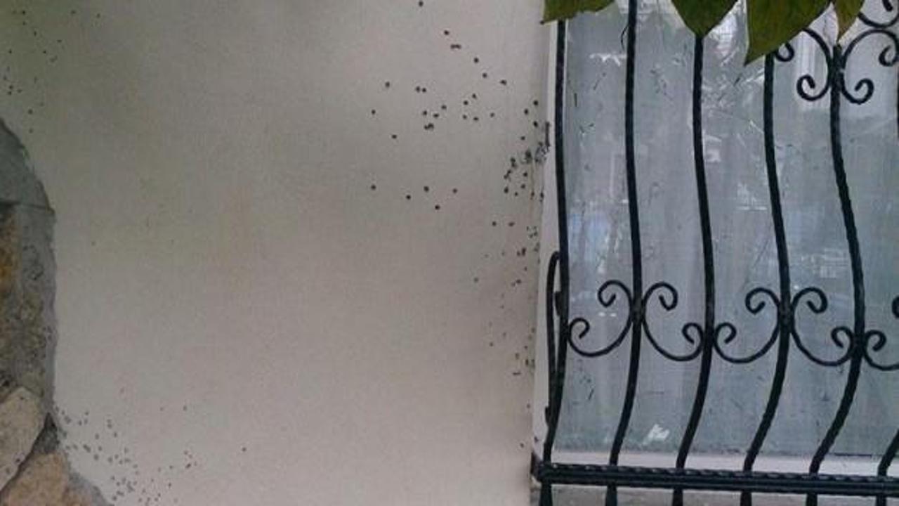 CHP'li başkanın evine silahlı saldırı